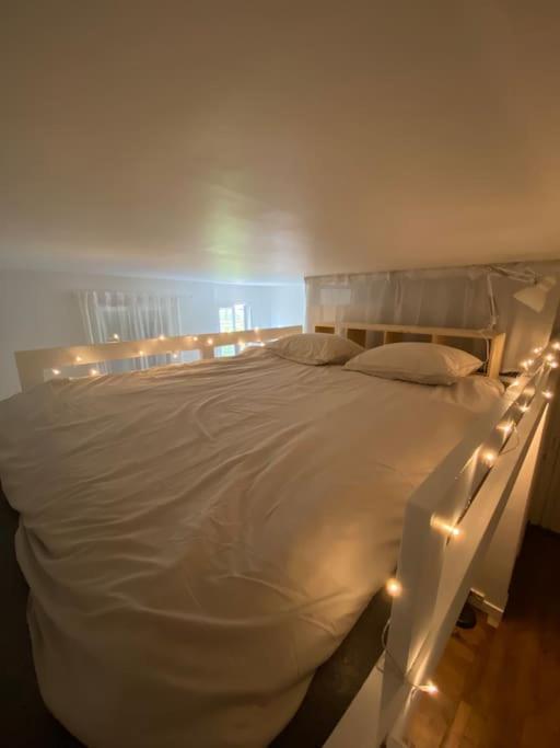 Appartement De Charme Pres Du Stade De France แซงต์-เดอนี ภายนอก รูปภาพ
